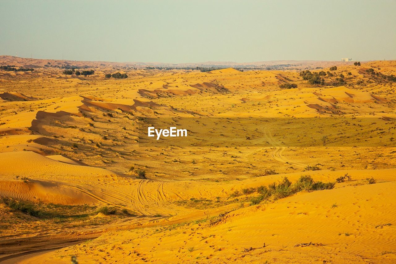 Scenic view of landscape against clear sky