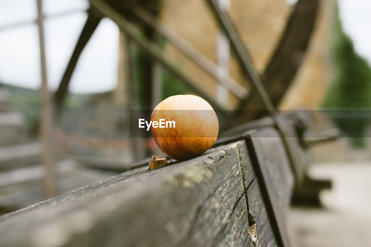 CLOSE-UP OF ORANGES ON WOOD