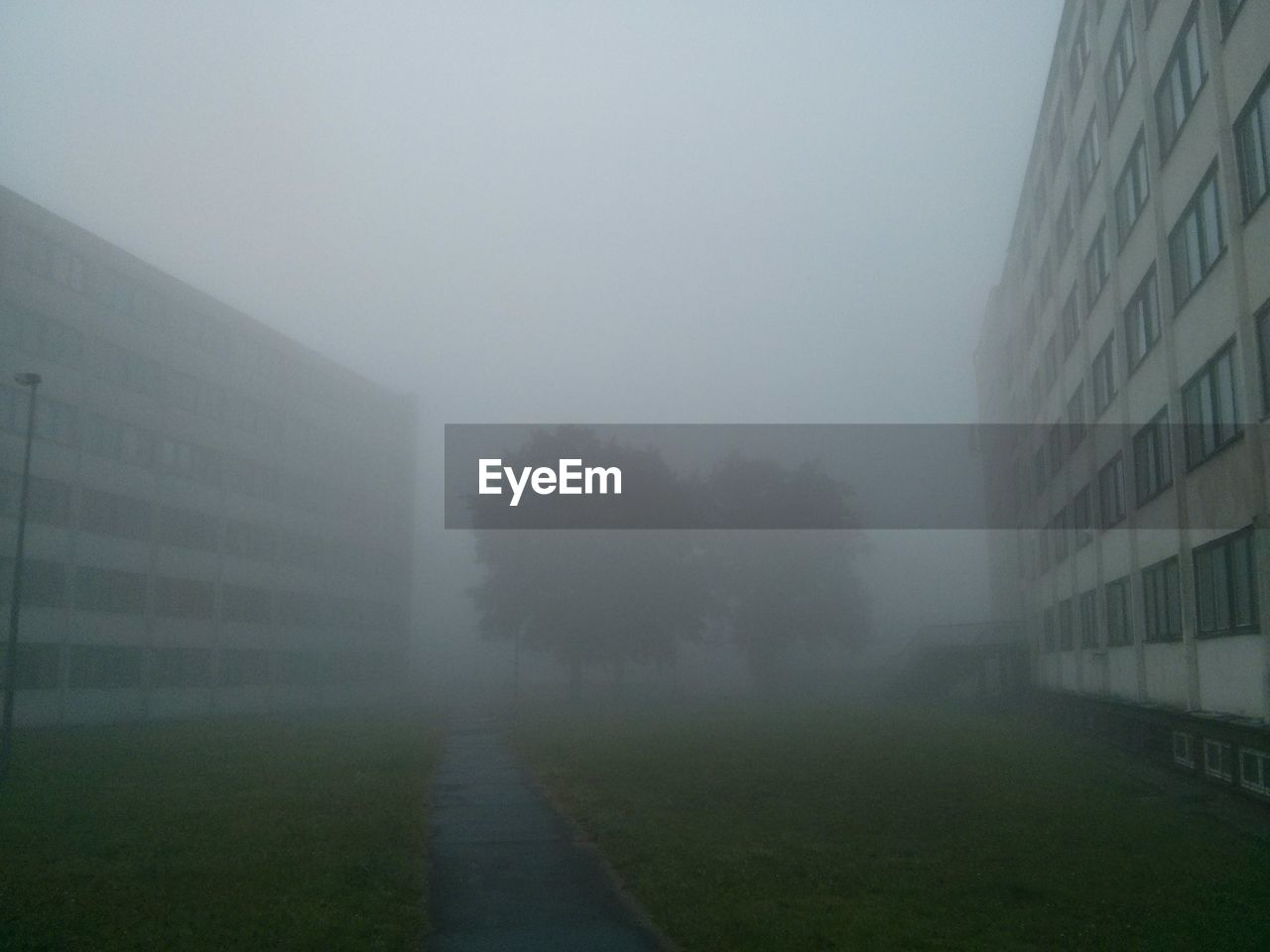 VIEW OF STREET IN FOGGY WEATHER