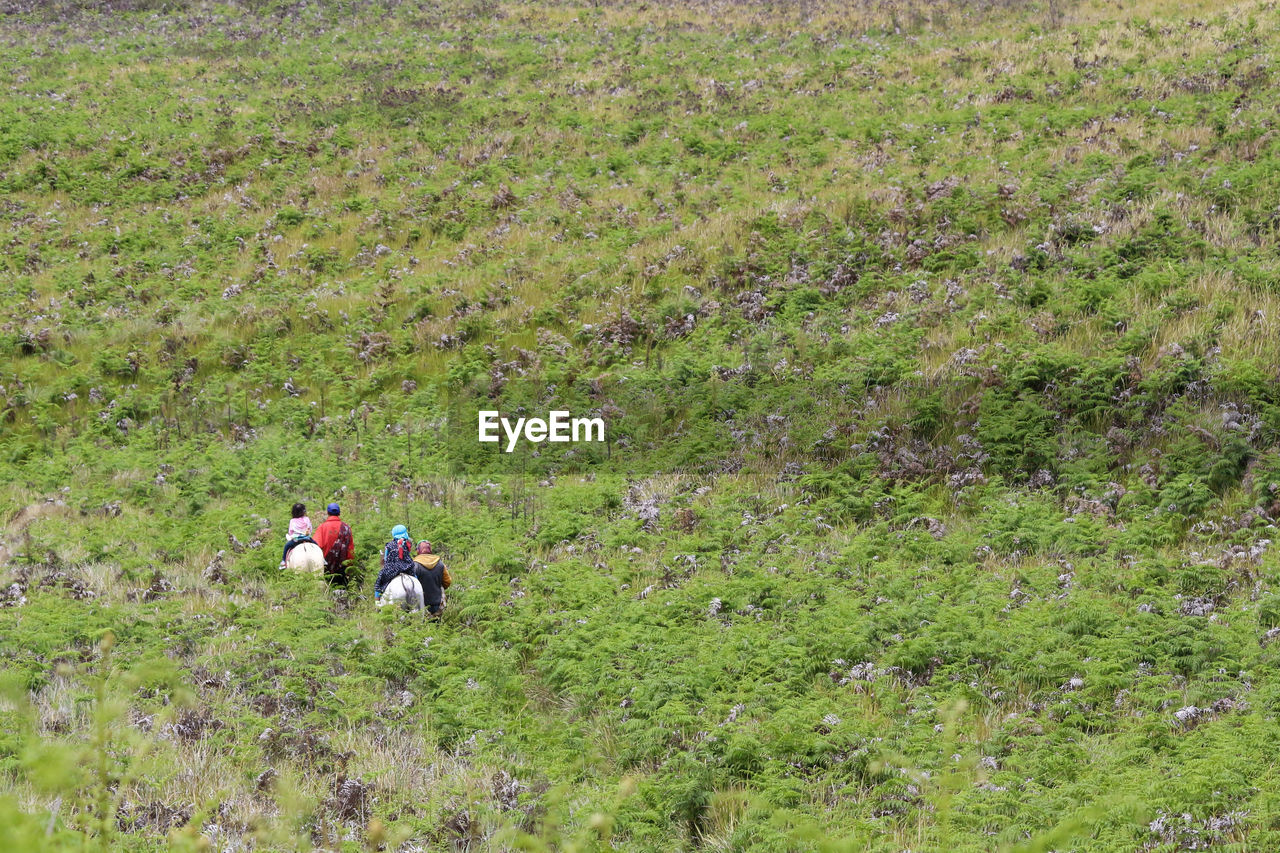 Rear view of people on field