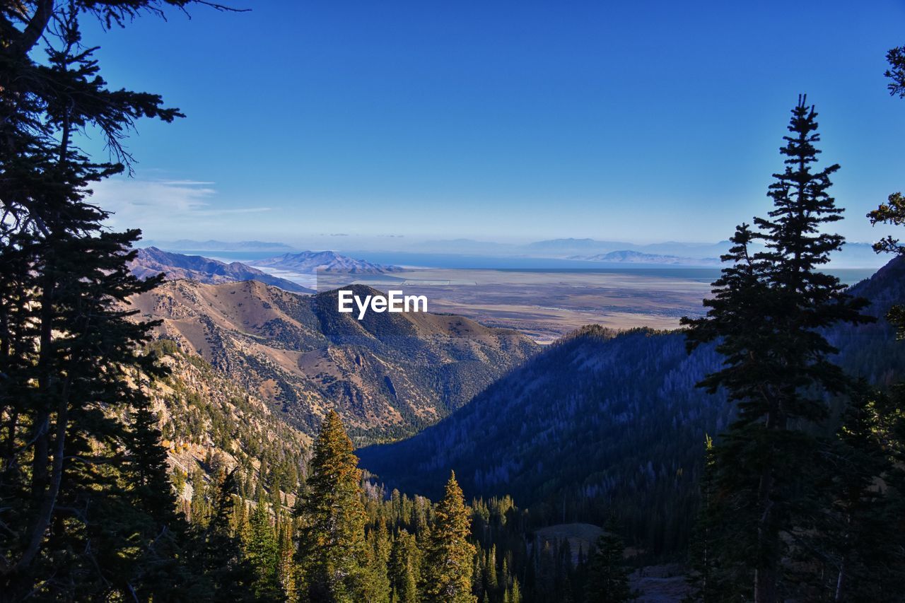 tree, nature, wilderness, mountain, scenics - nature, plant, beauty in nature, pine tree, coniferous tree, pinaceae, sky, environment, landscape, forest, mountain range, pine woodland, land, tranquility, tranquil scene, no people, blue, non-urban scene, travel destinations, ridge, snow, autumn, travel, woodland, outdoors, cold temperature, winter, cloud, idyllic, tourism, mountain peak, valley, snowcapped mountain, day, growth, remote