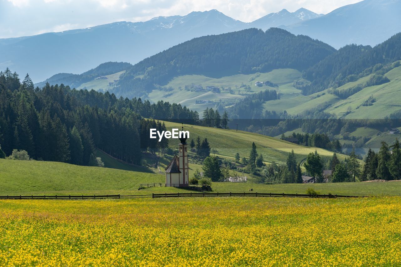 Scenic view of field against mountains