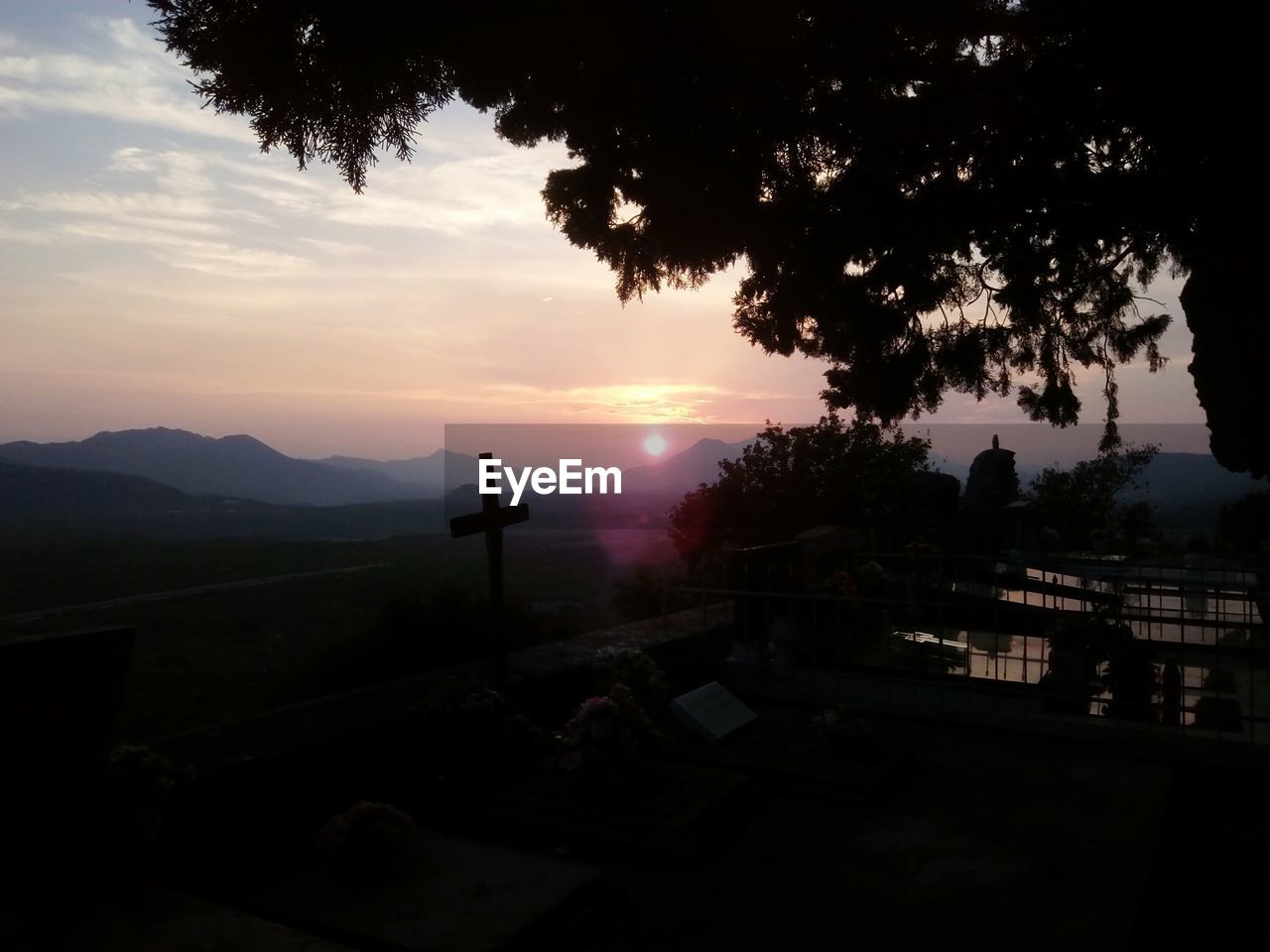 VIEW OF TREES AT SUNSET