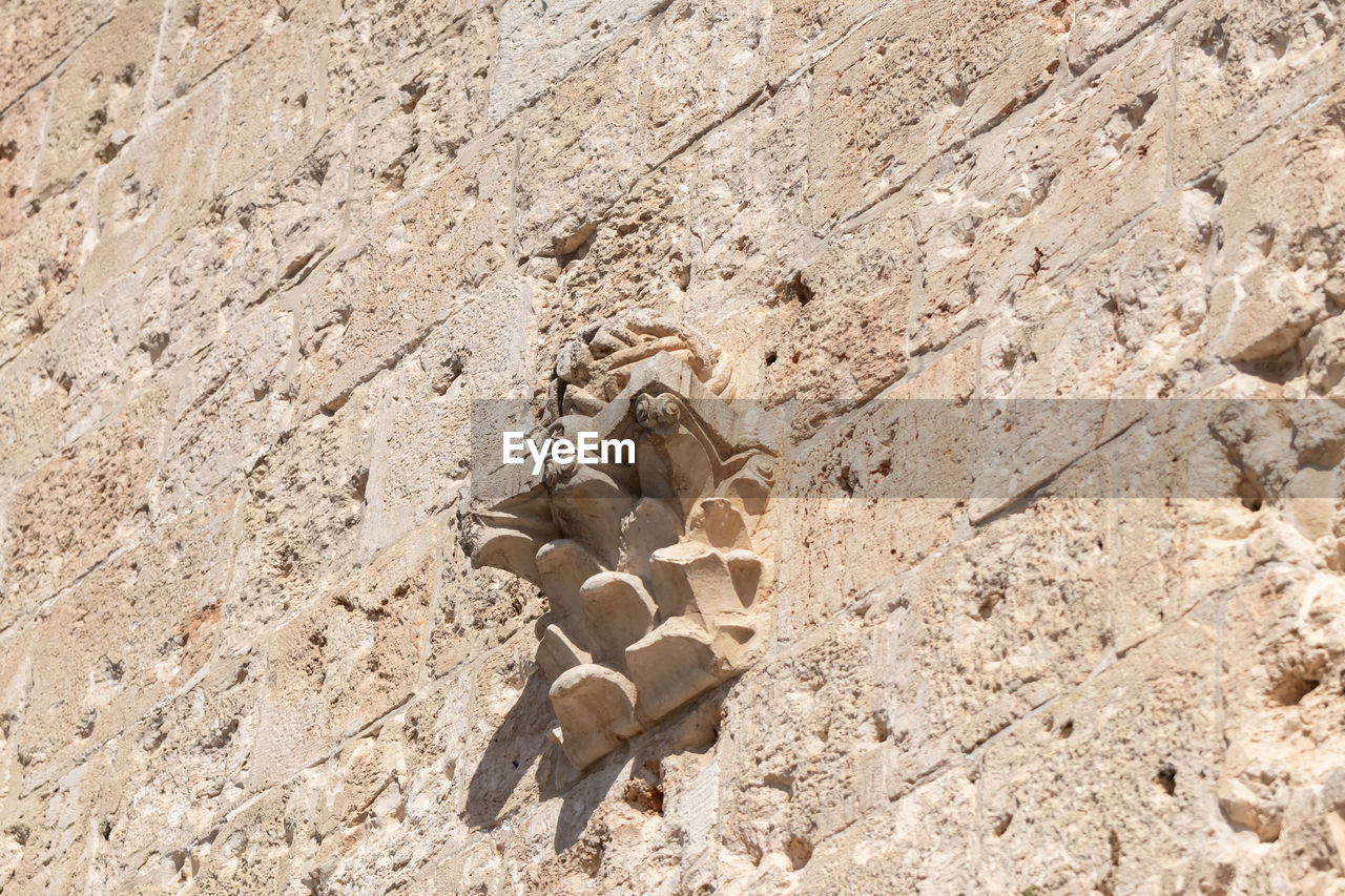 HIGH ANGLE VIEW OF A HORSE ON SAND