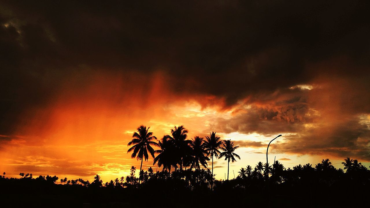 Silhouette palm trees against cloudy sky during sunset