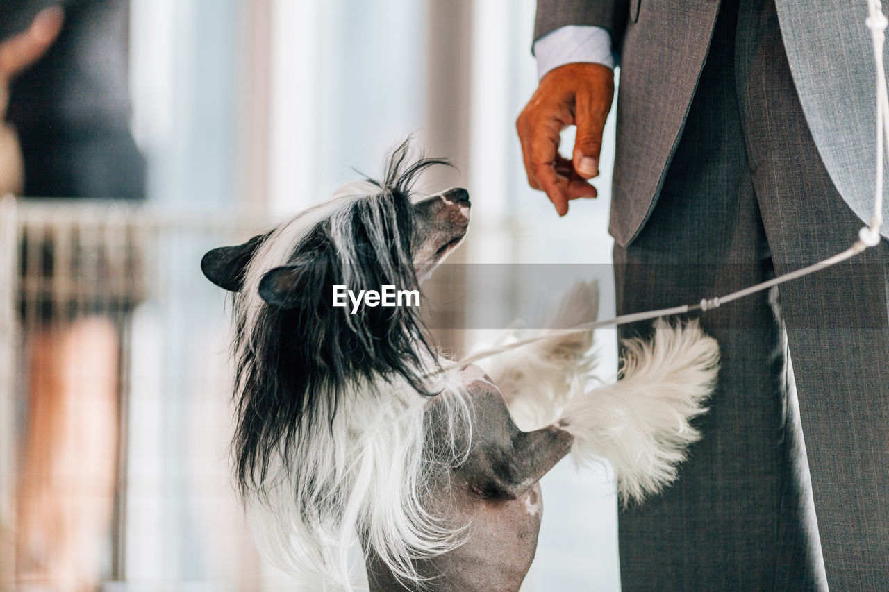 Midsection of well-dressed man with dog standing at home