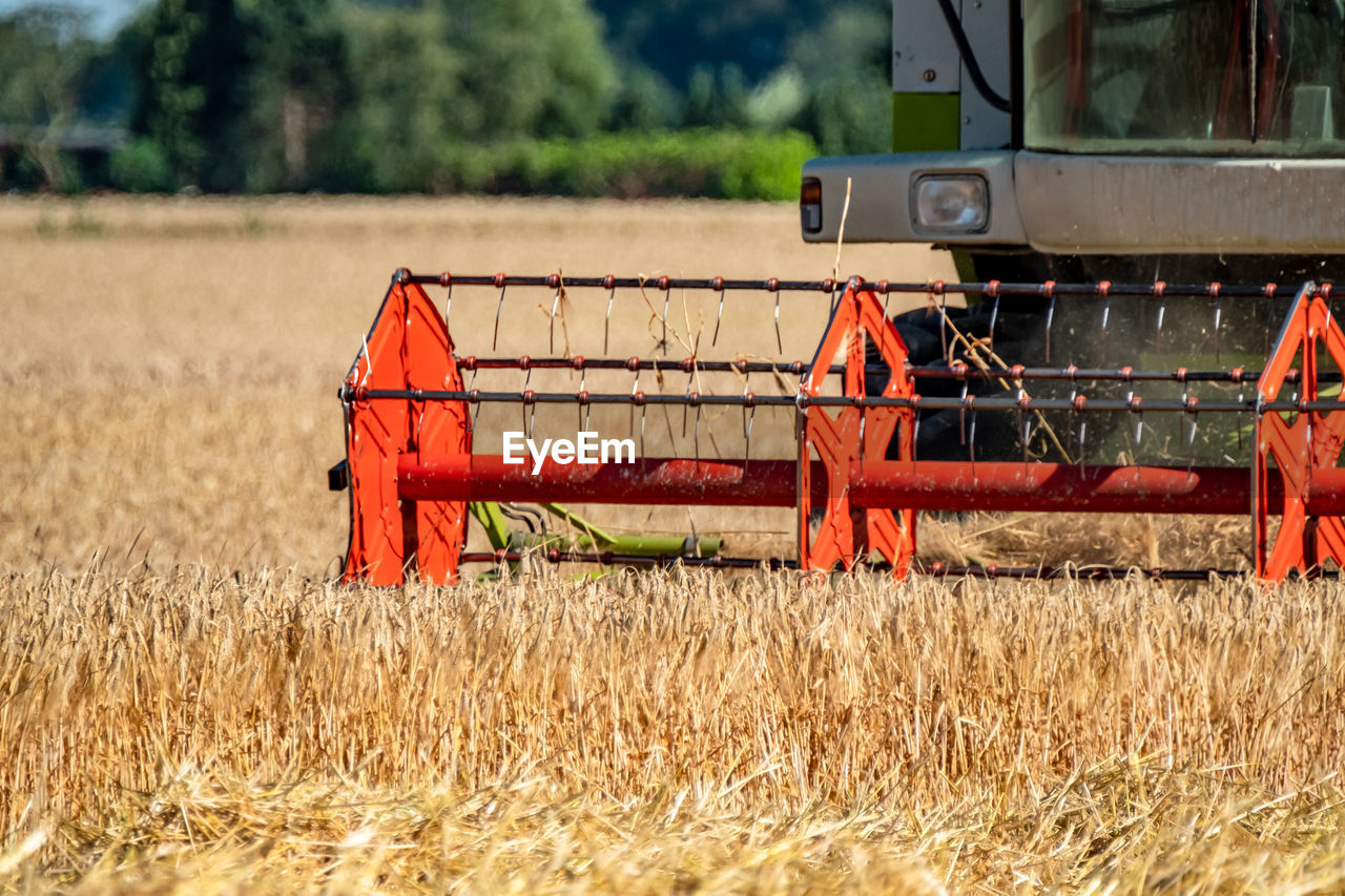 Combine harvester in farm