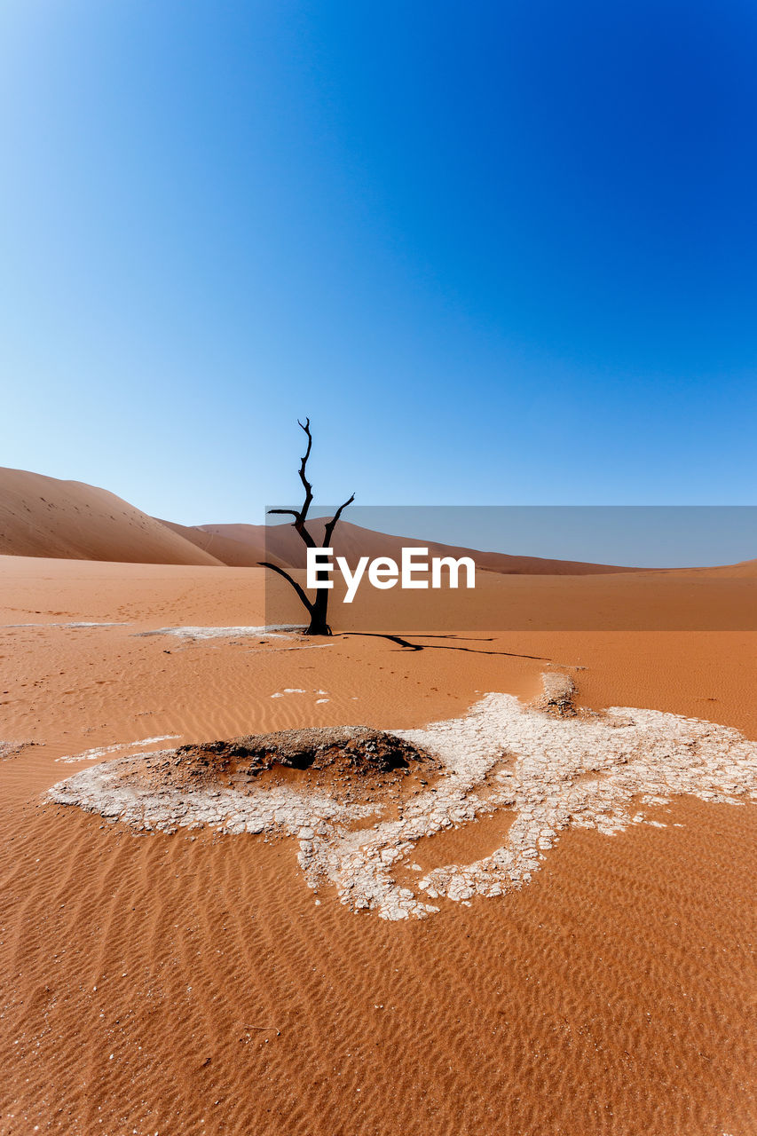 SAND DUNES IN DESERT AGAINST CLEAR SKY