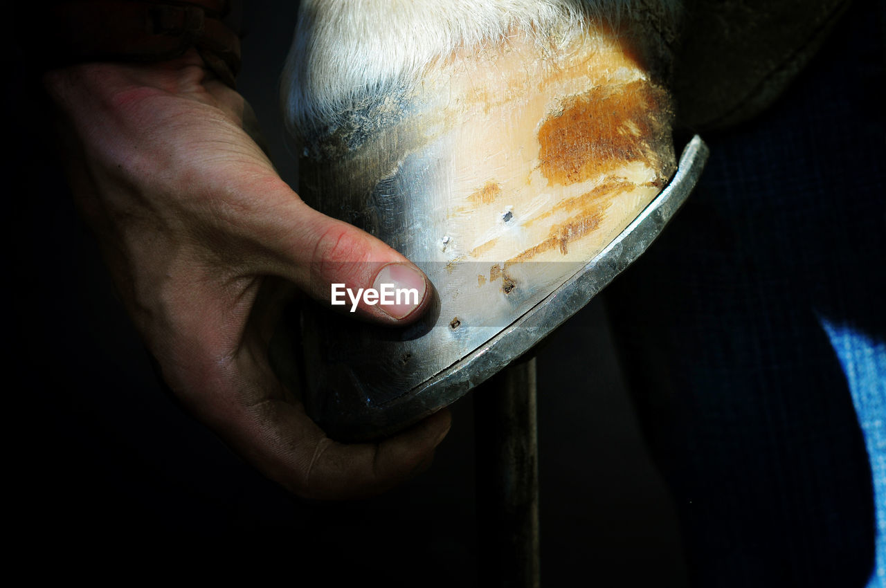 Cropped image of man shoeing horse