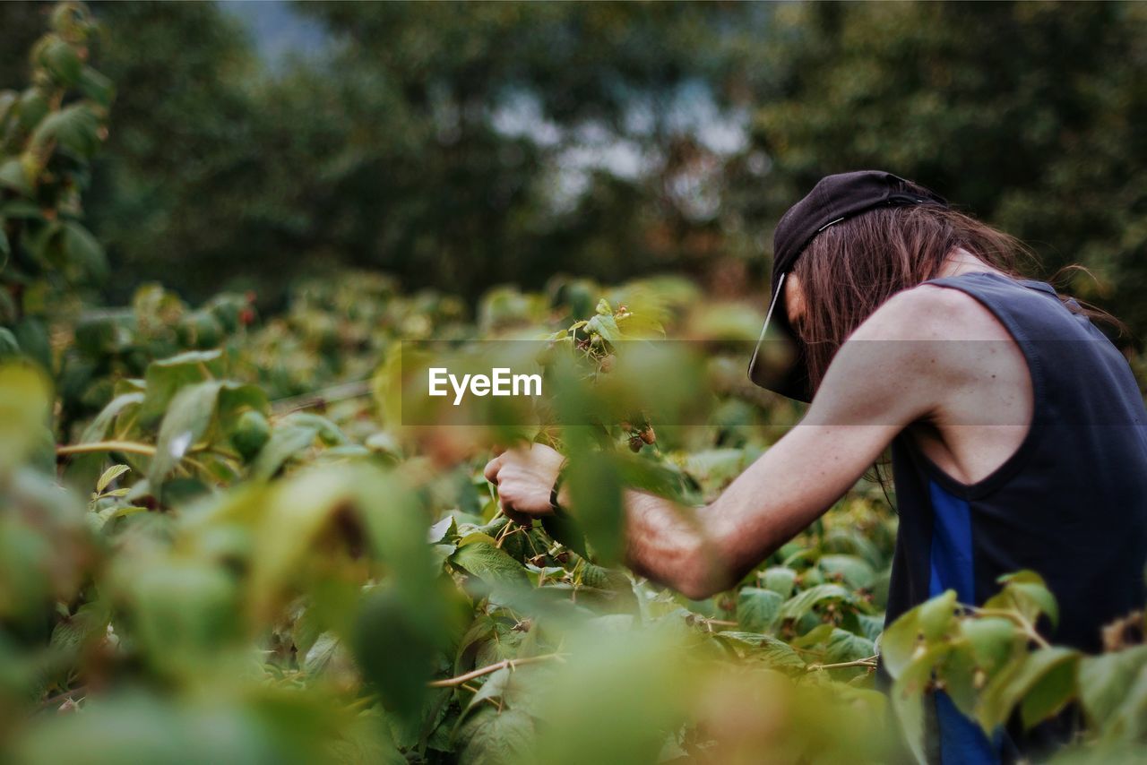 Side view of man holding plants at farm