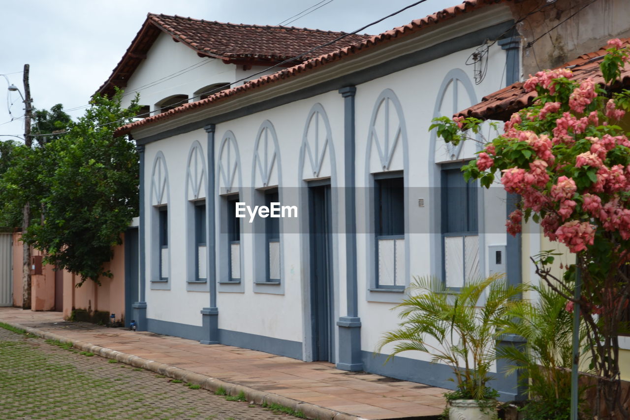 LOW ANGLE VIEW OF BUILDING WITH TREES