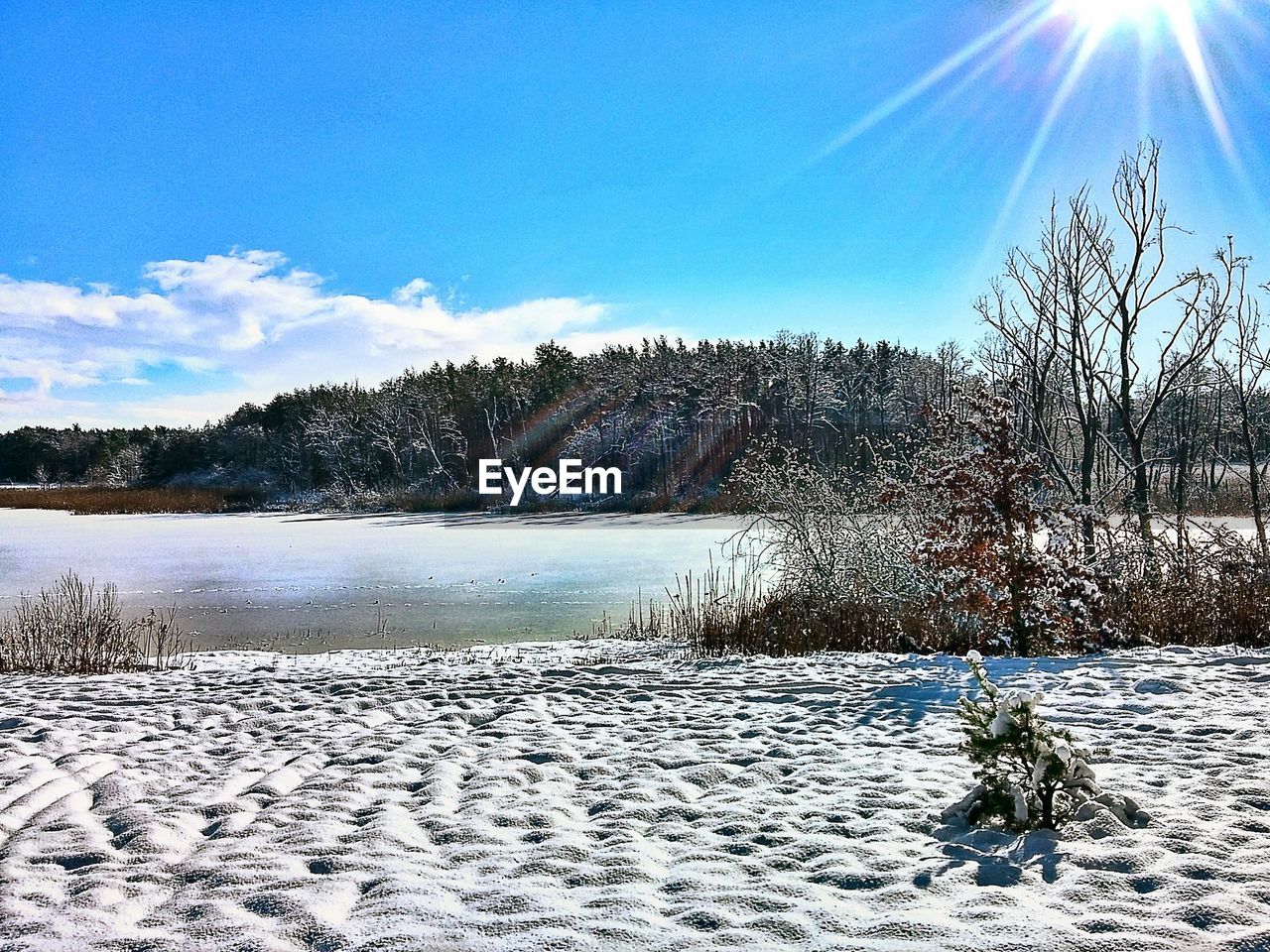 Trees on snow covered landscape against blue sky and clouds