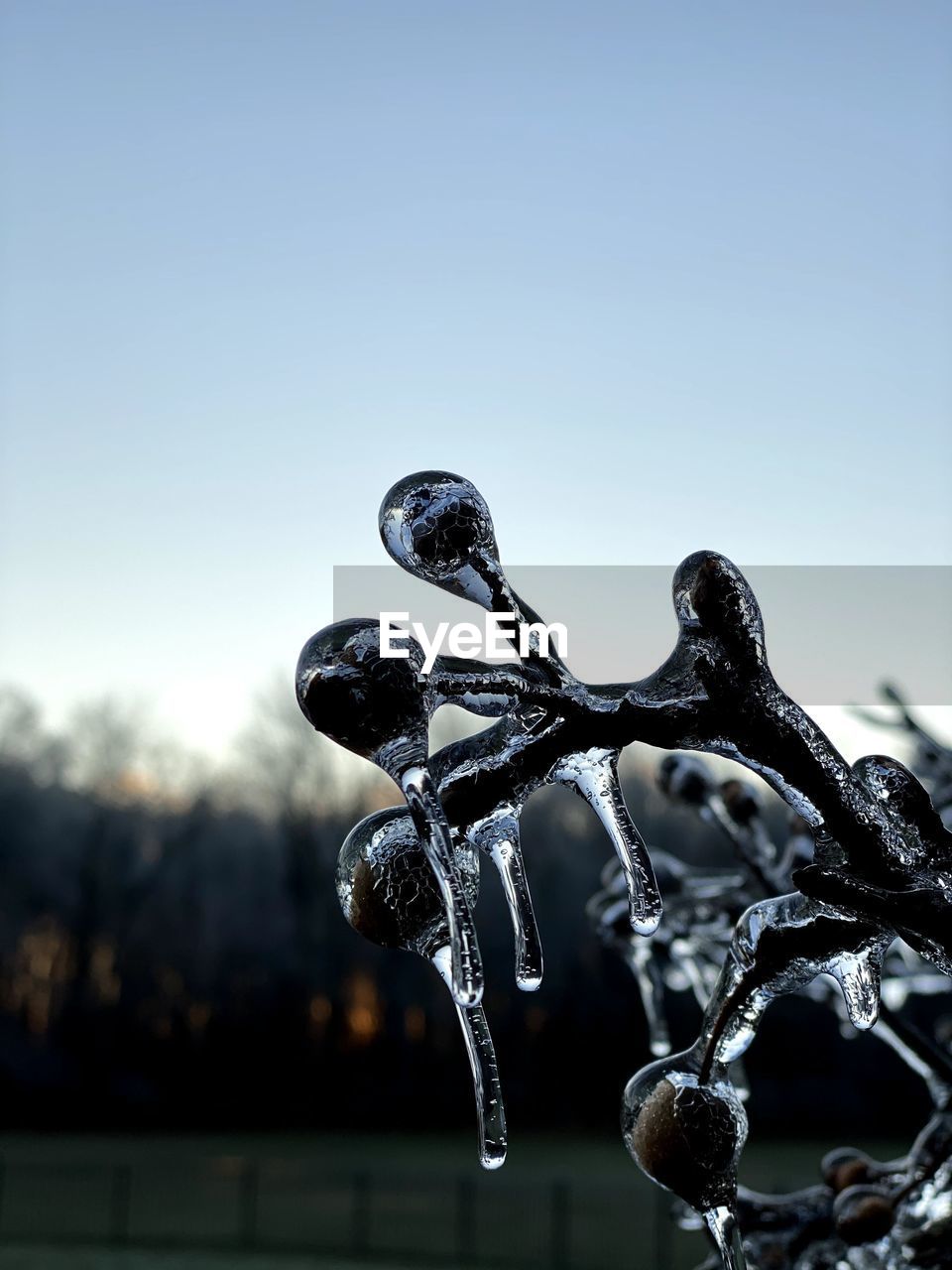 CLOSE-UP OF FROZEN WATER DROPS AGAINST SKY