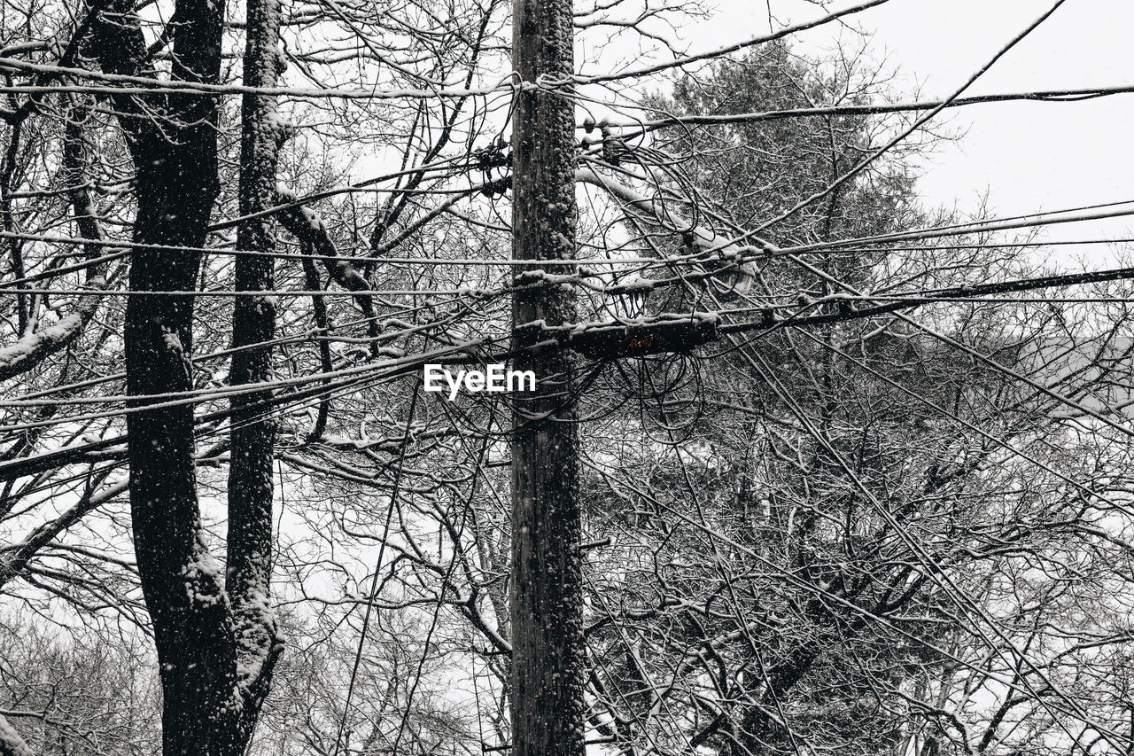 Low angle view of tangled cables on pylon against trees