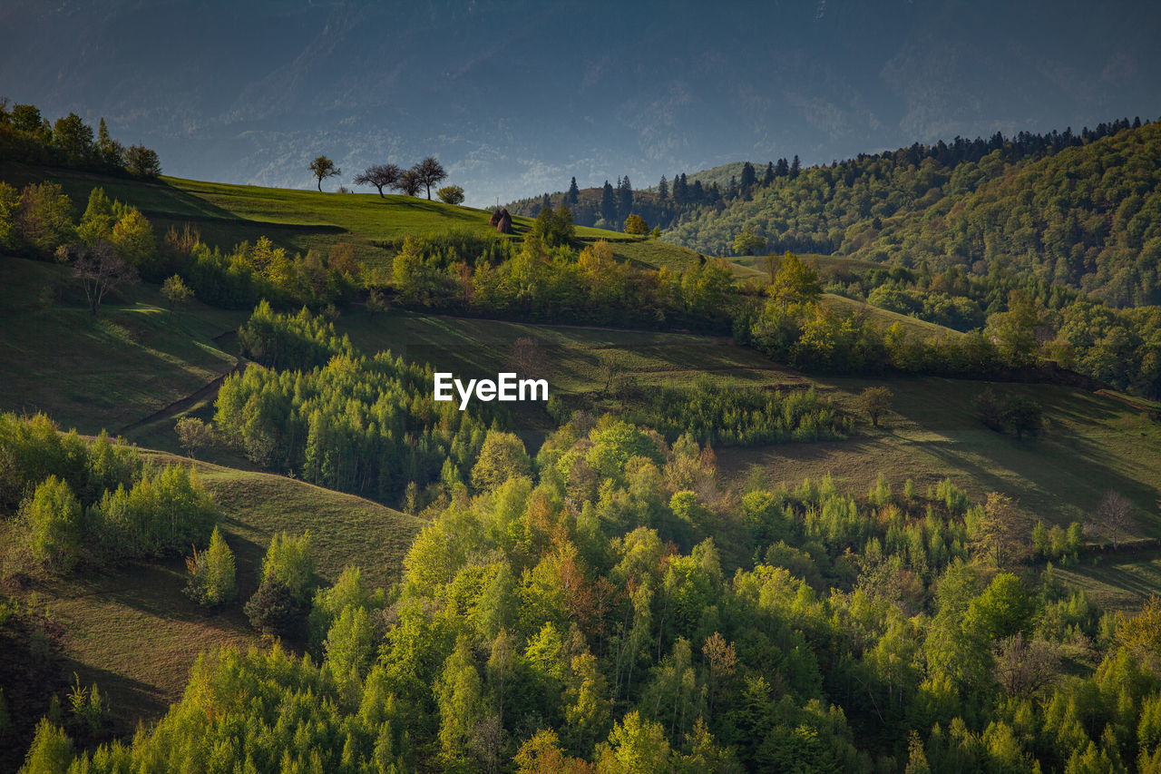 Mountain landscape in the spring season.