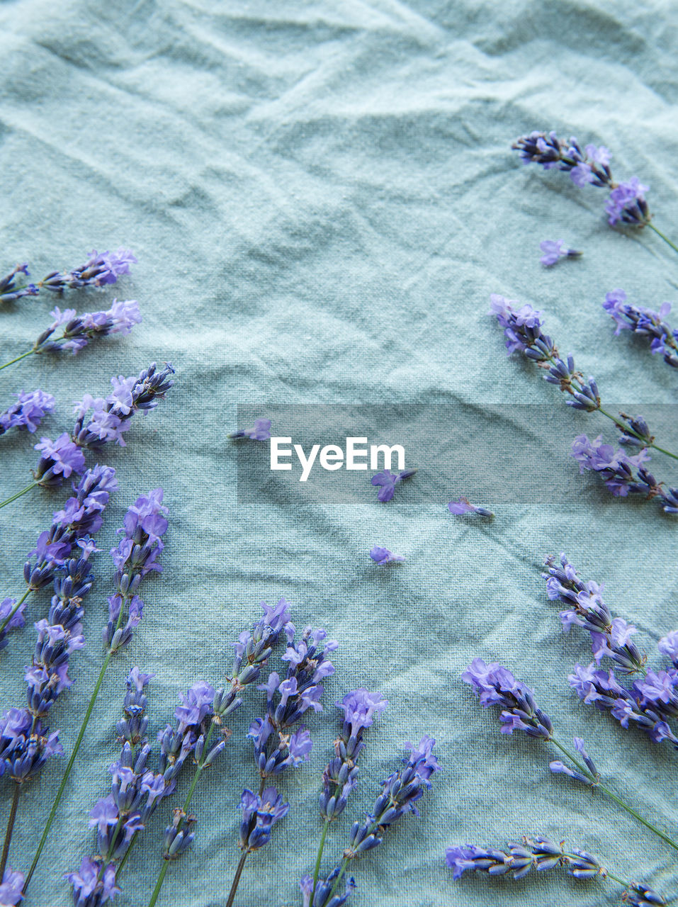 Lavender flowers and leaves creative frame on a textile background. 