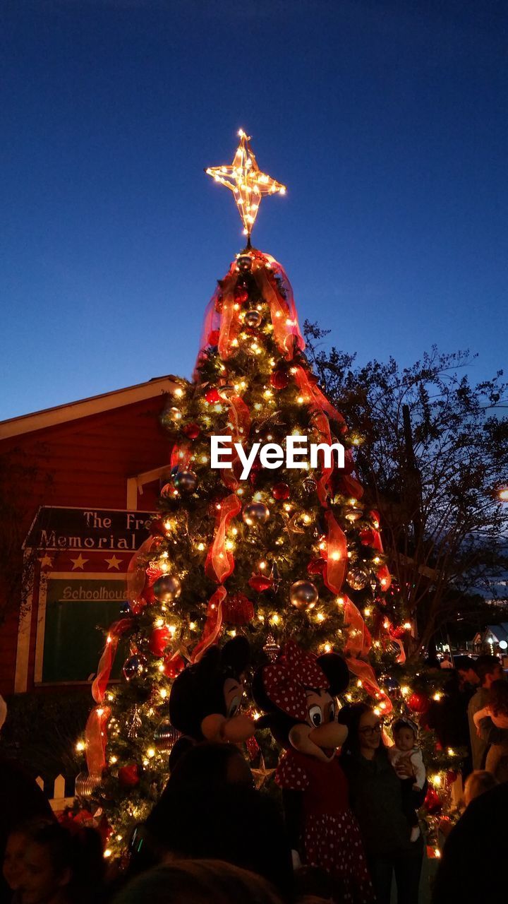 LOW ANGLE VIEW OF ILLUMINATED CHRISTMAS TREE