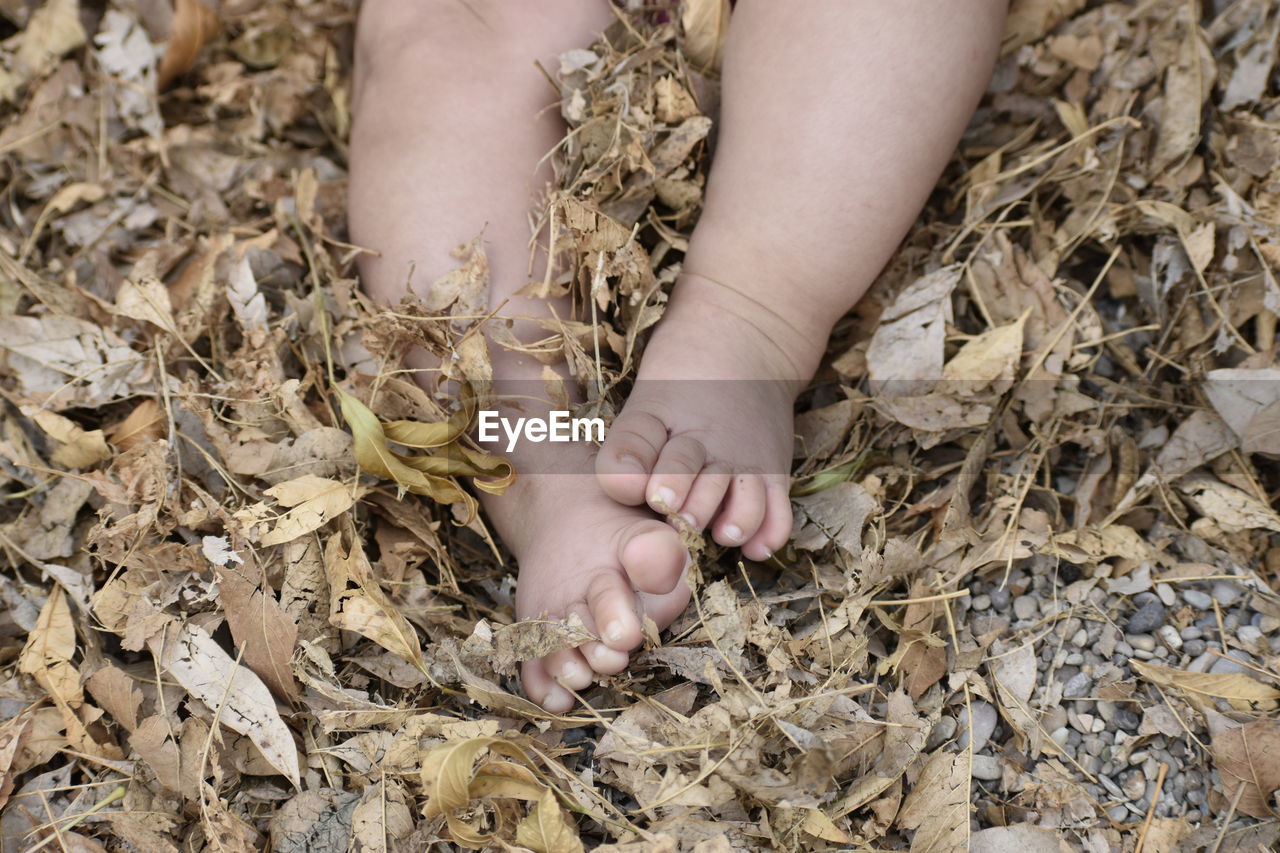 LOW SECTION OF BABY GIRL ON FIELD