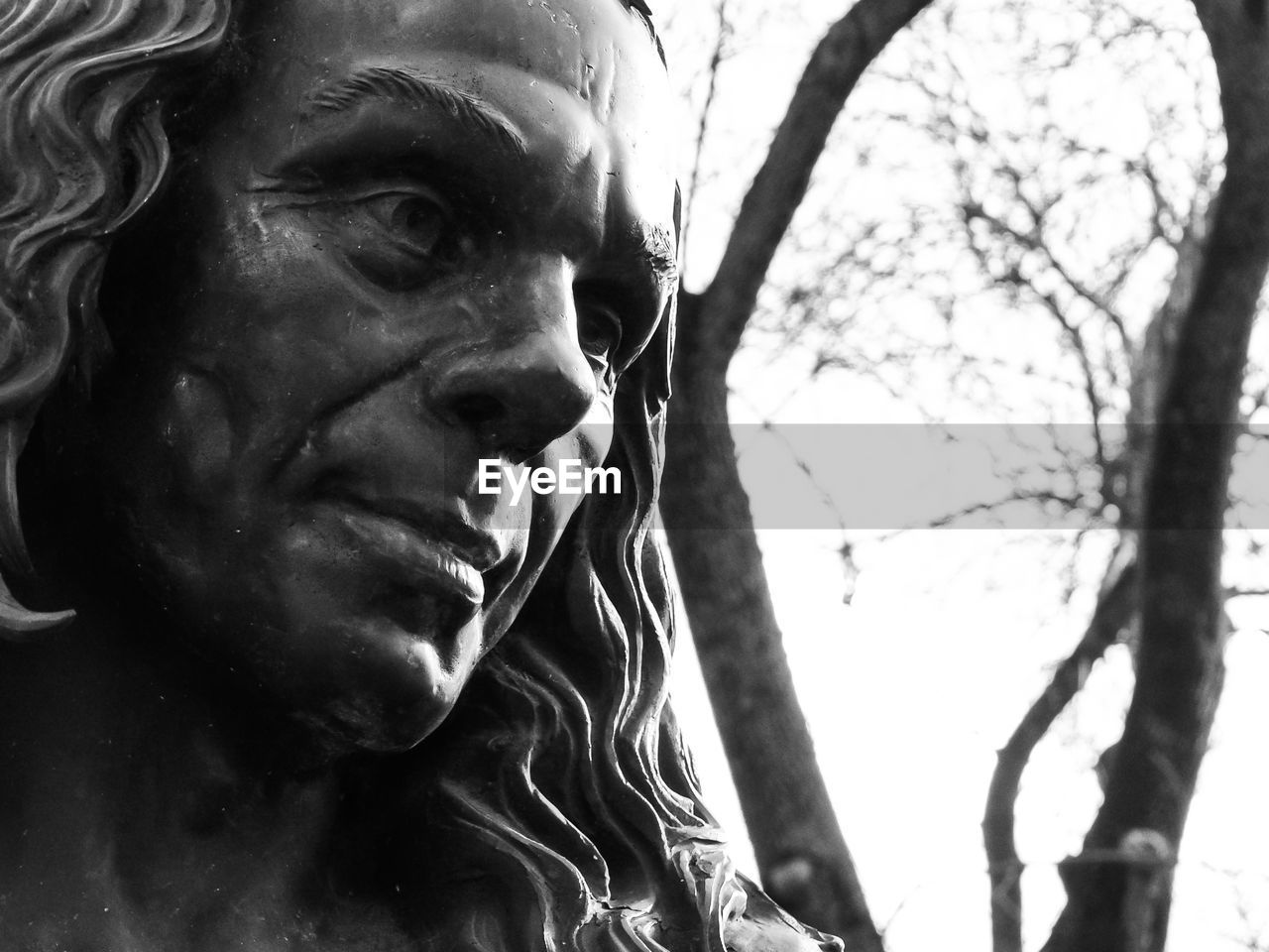 LOW ANGLE VIEW OF STATUE ON TREE