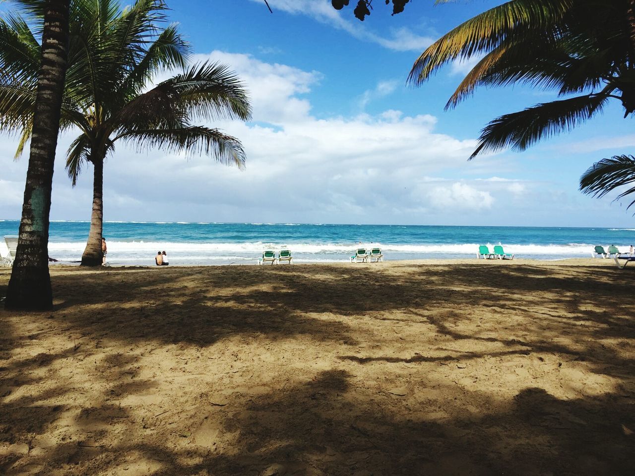 SCENIC VIEW OF BEACH