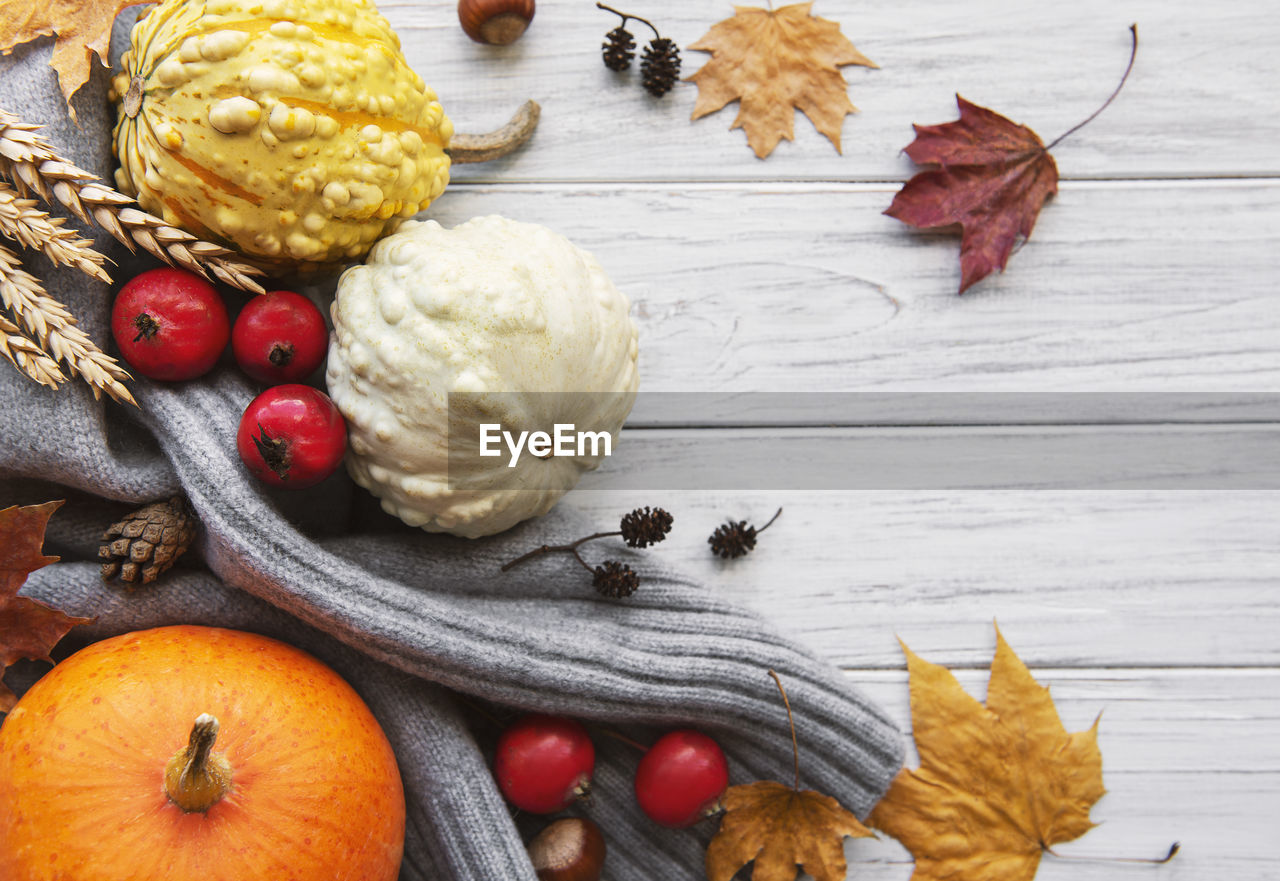 A rustic autumn still life with pumpkins on wooden background