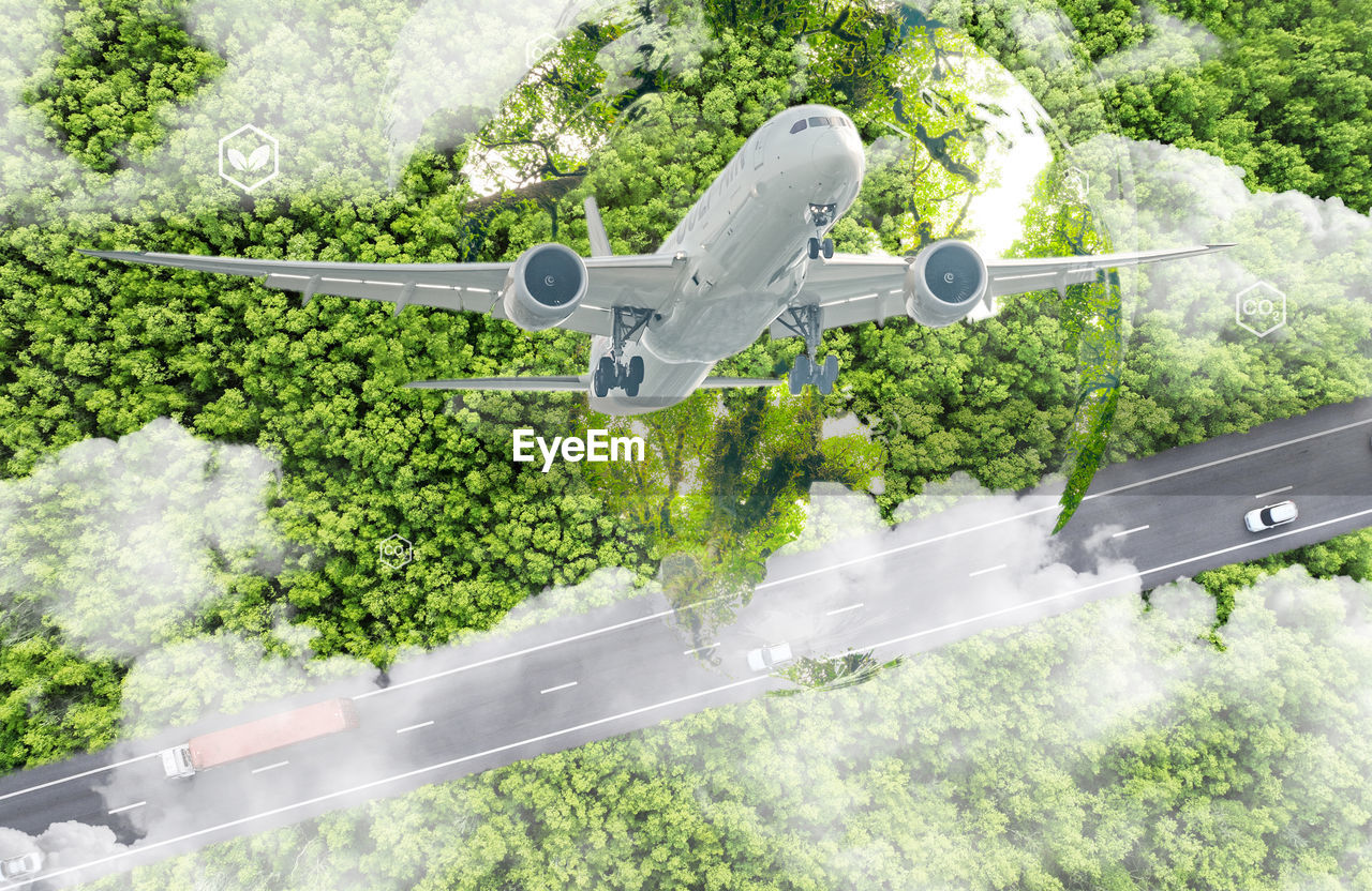 plant, transportation, mode of transportation, air vehicle, tree, airplane, nature, vehicle, growth, flying, green, aircraft, travel, no people, day, aviation, outdoors, high angle view, technology, aerospace industry, aircraft wing, mid-air