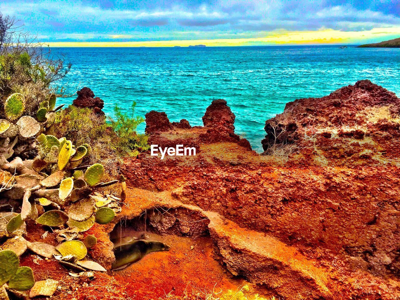 SCENIC VIEW OF SEA DURING SUNSET