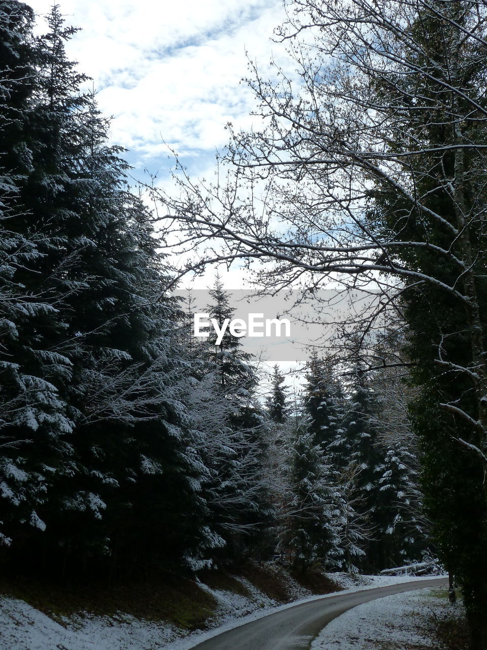 ROAD AMIDST TREES AGAINST SKY DURING WINTER