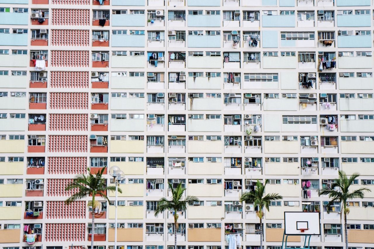 Palm trees against residential building