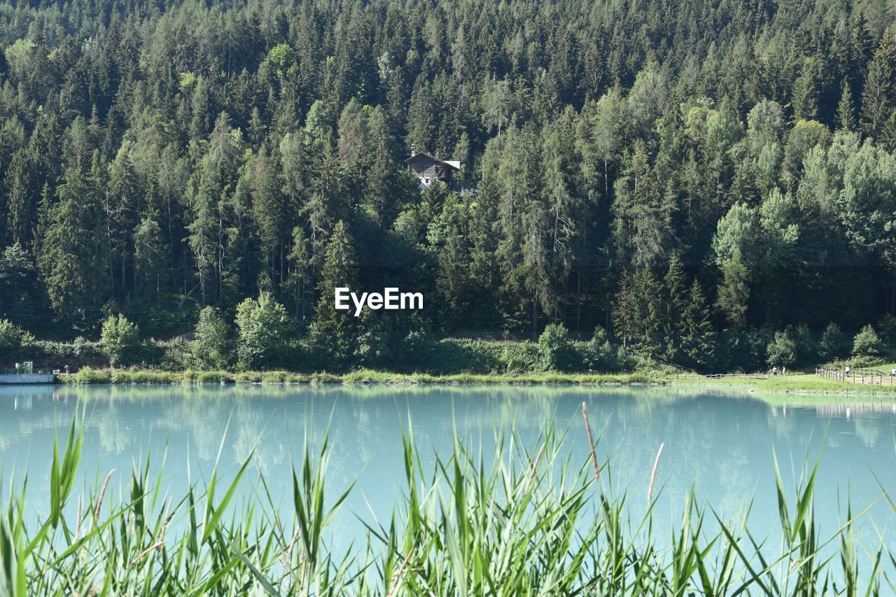 Scenic view of lake in forest with house