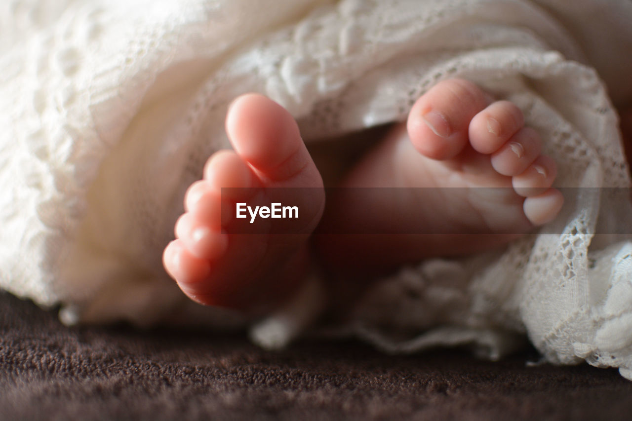 baby, close-up, human leg, child, one person, childhood, human foot, newborn, barefoot, beginnings, indoors, babyhood, innocence, limb, relaxation, skin, sole of foot, toe, lying down, selective focus, cute, toddler, baby clothing, hand, nature, comfortable, low section, pink, fragility, blanket, bed, human limb