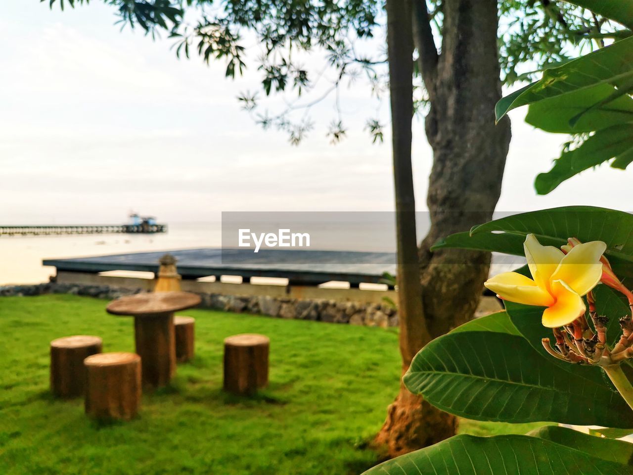 SCENIC VIEW OF SEA AND ROCKS BY TREES AGAINST SKY