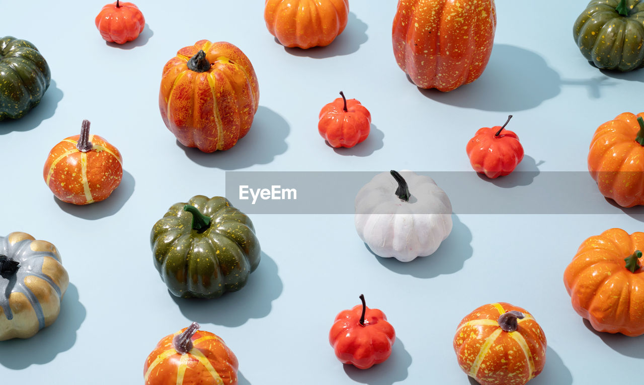 Pumpkin pattern, decorative pumpkins on a blue background top view. autumn, fall, halloween 