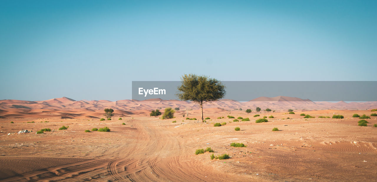 Scenic view of desert against clear sky