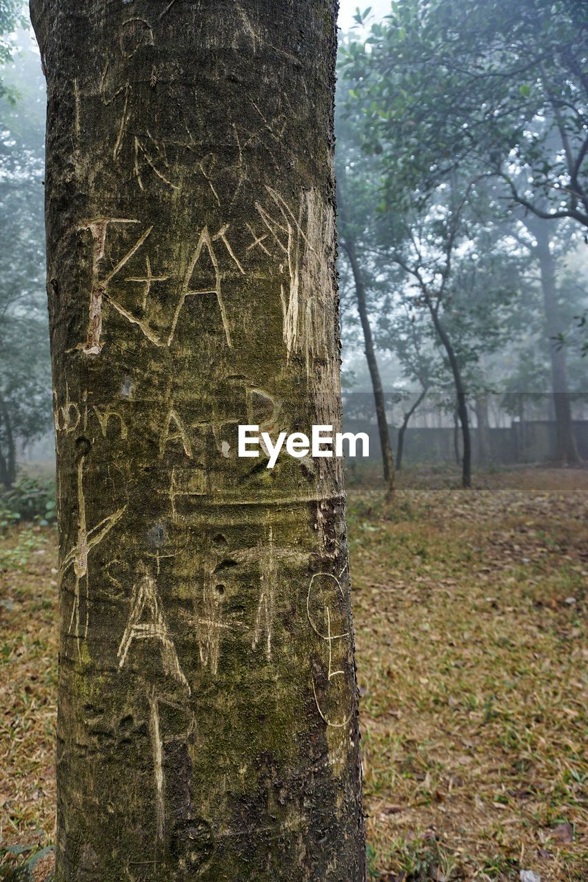 Tree trunk with text growing on field