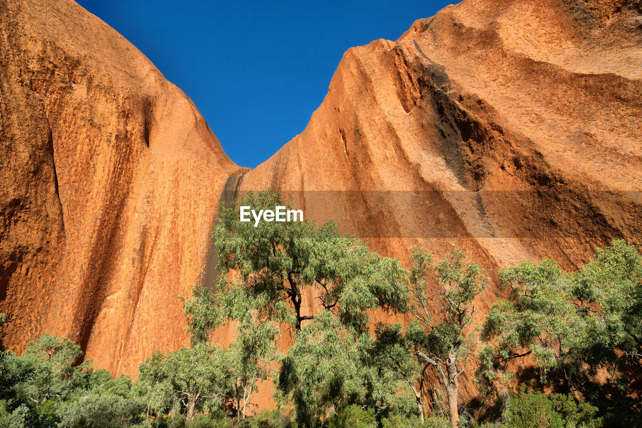 Plants growing on rock against sky