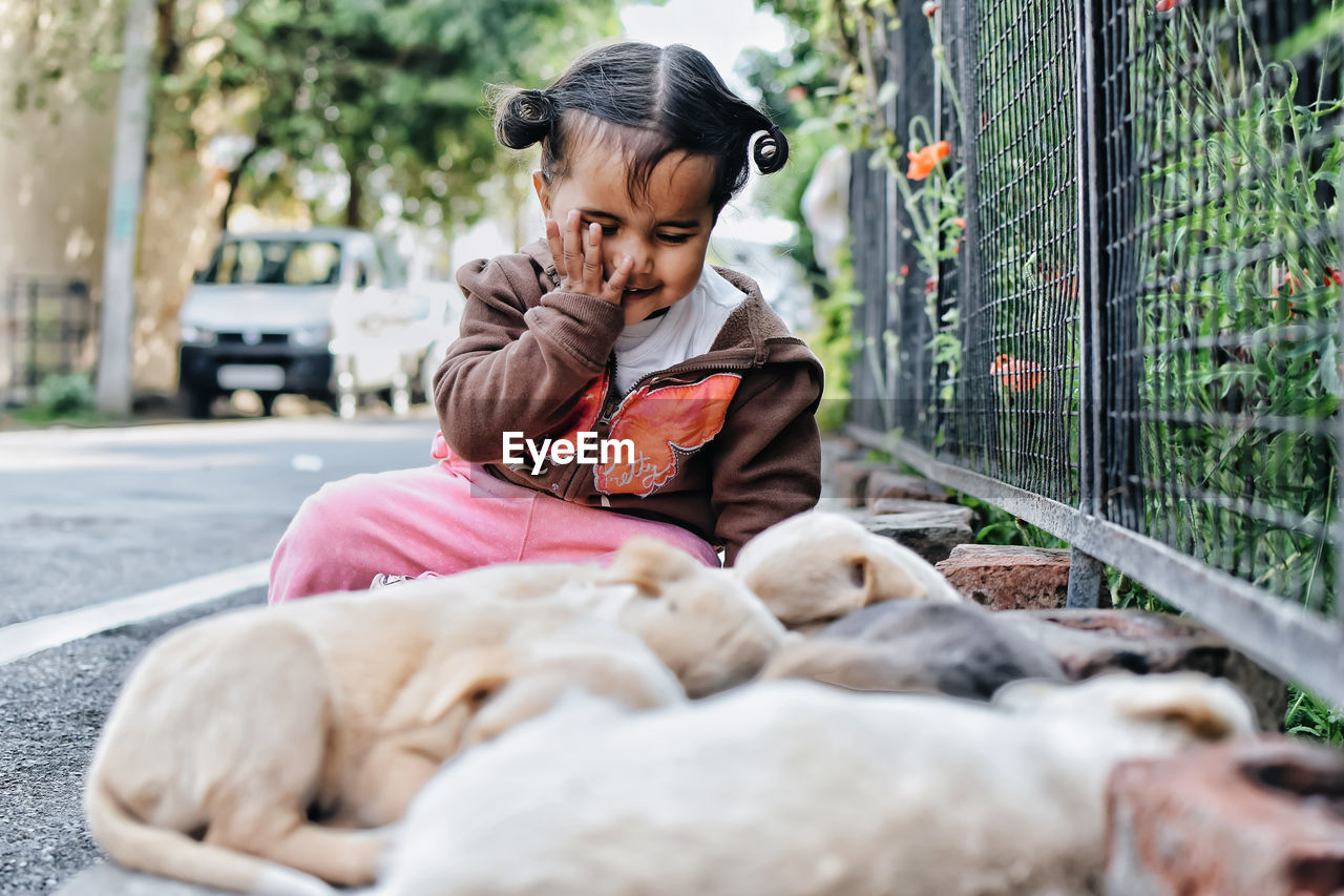 Cute girl looking at puppies on roadside