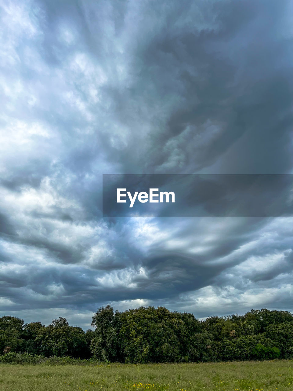 sky, cloud, plant, environment, tree, storm, beauty in nature, nature, landscape, grassland, dramatic sky, field, scenics - nature, storm cloud, no people, thunderstorm, land, cloudscape, plain, green, outdoors, growth, horizon, overcast, grass, prairie, day, rural scene, sunlight, tranquility, meadow