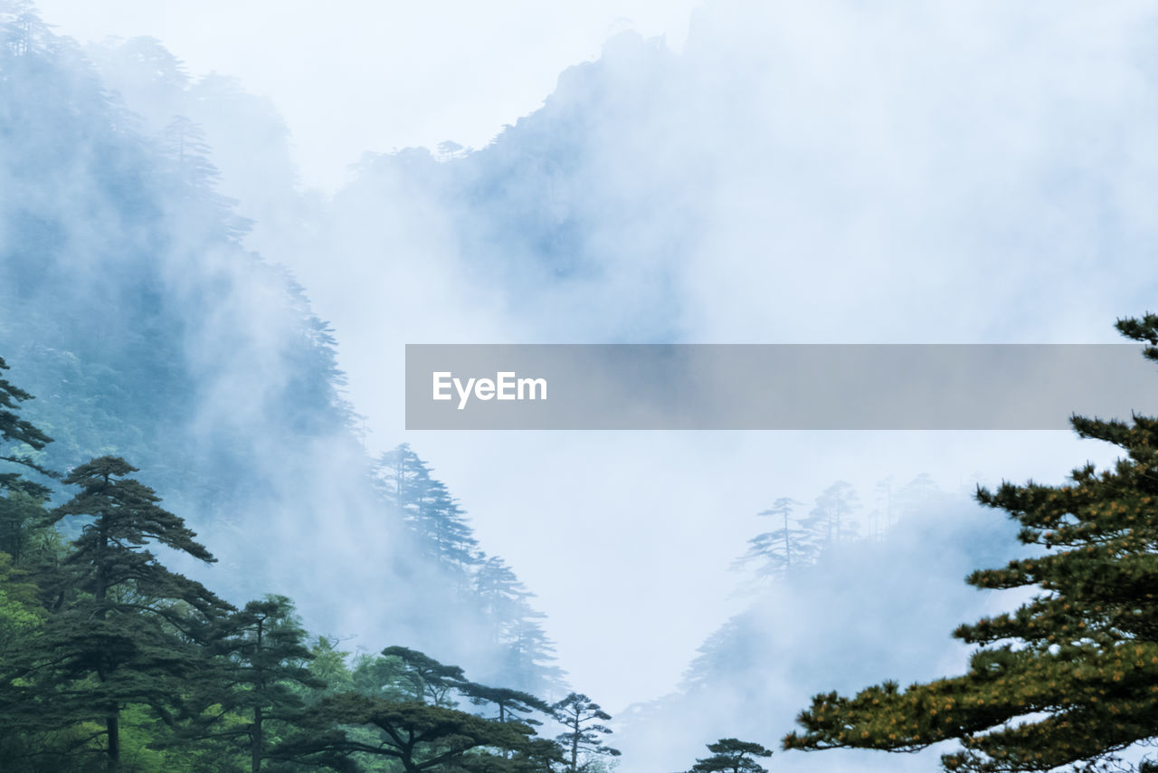 LOW ANGLE VIEW OF MOUNTAIN AGAINST SKY