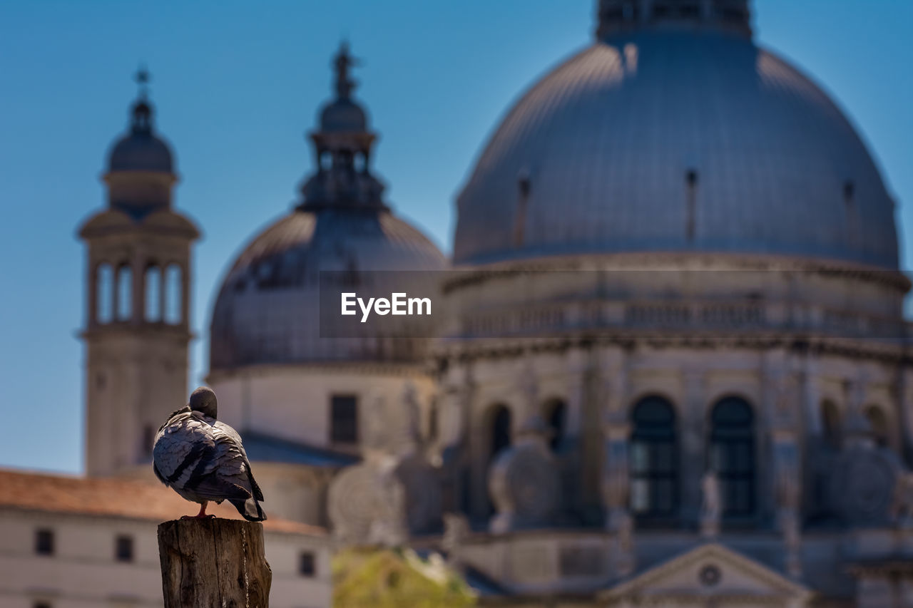 VIEW OF CATHEDRAL AGAINST SKY