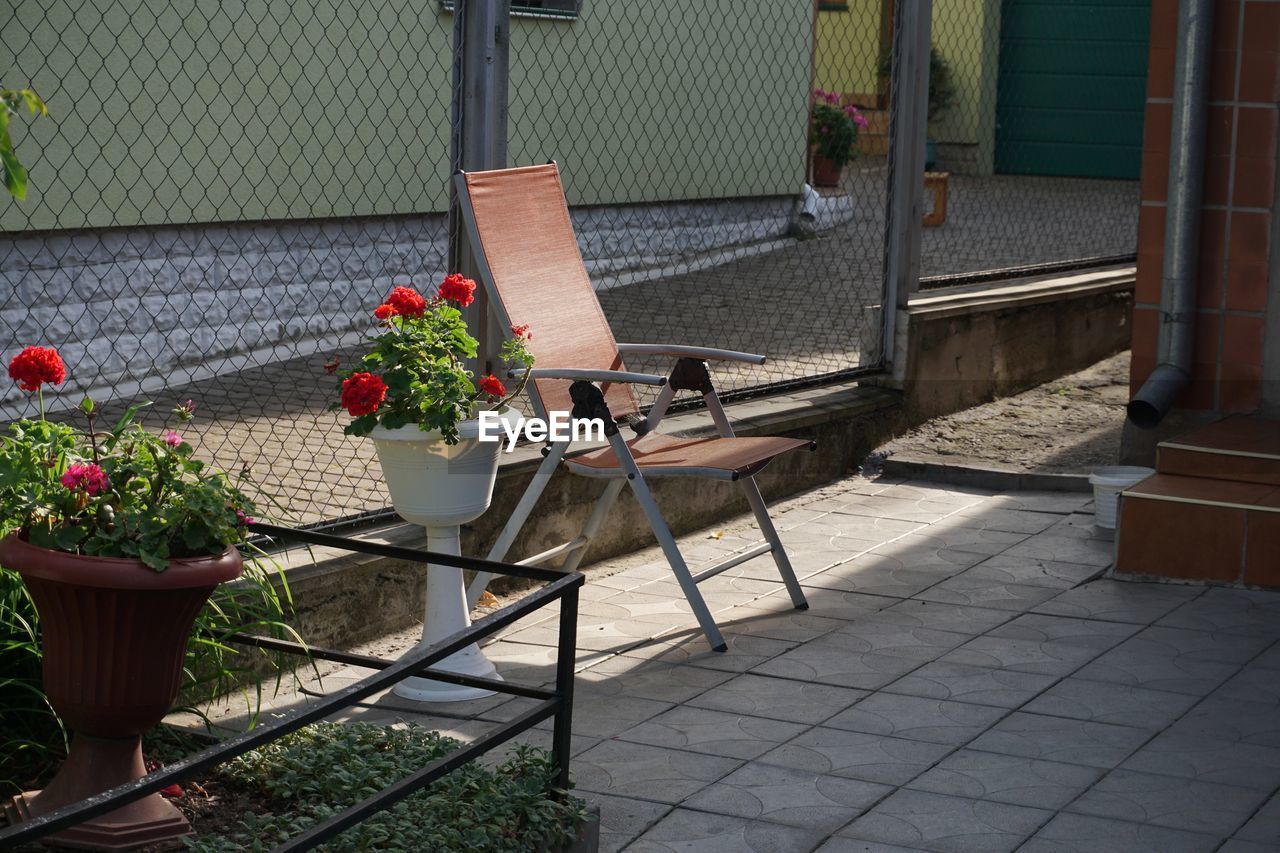 POTTED PLANT ON FOOTPATH BY BUILDING