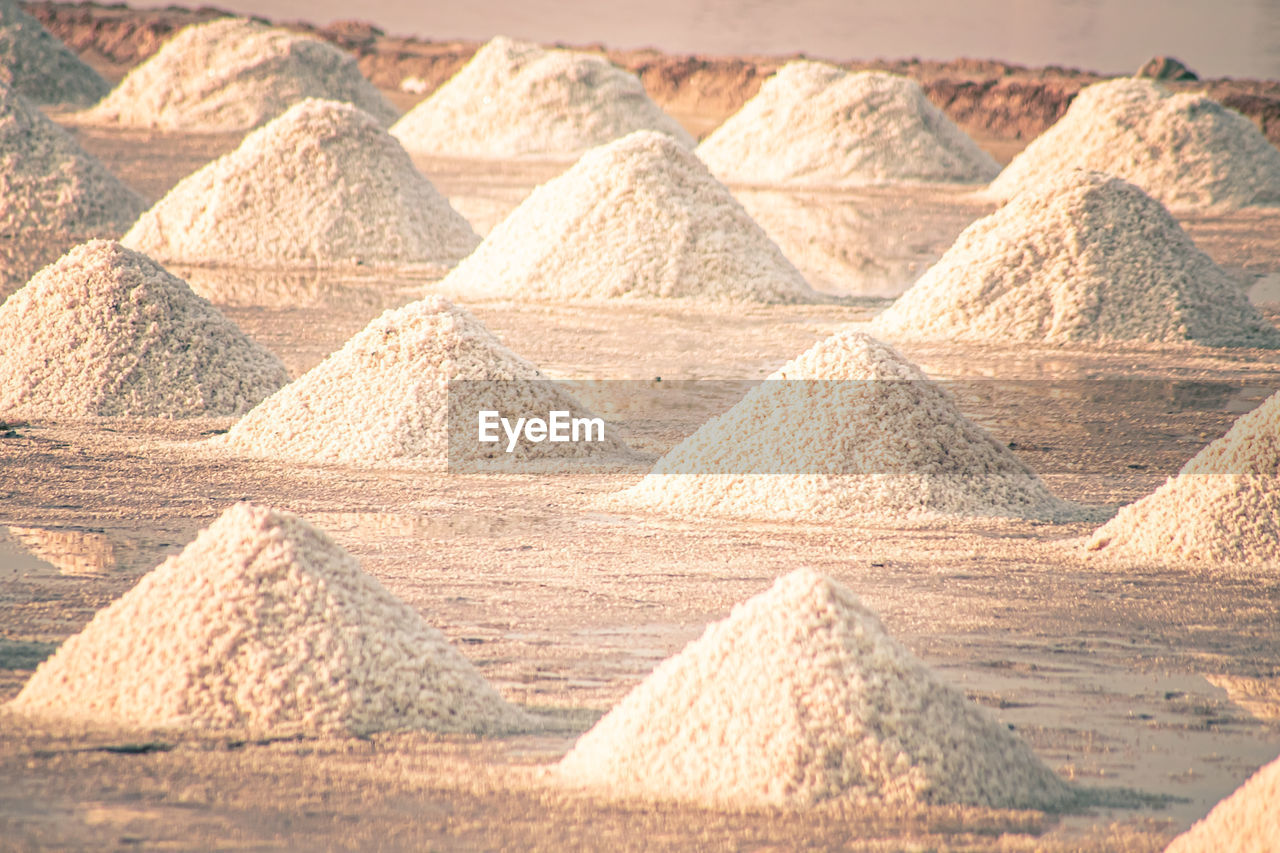 Salt farms industry