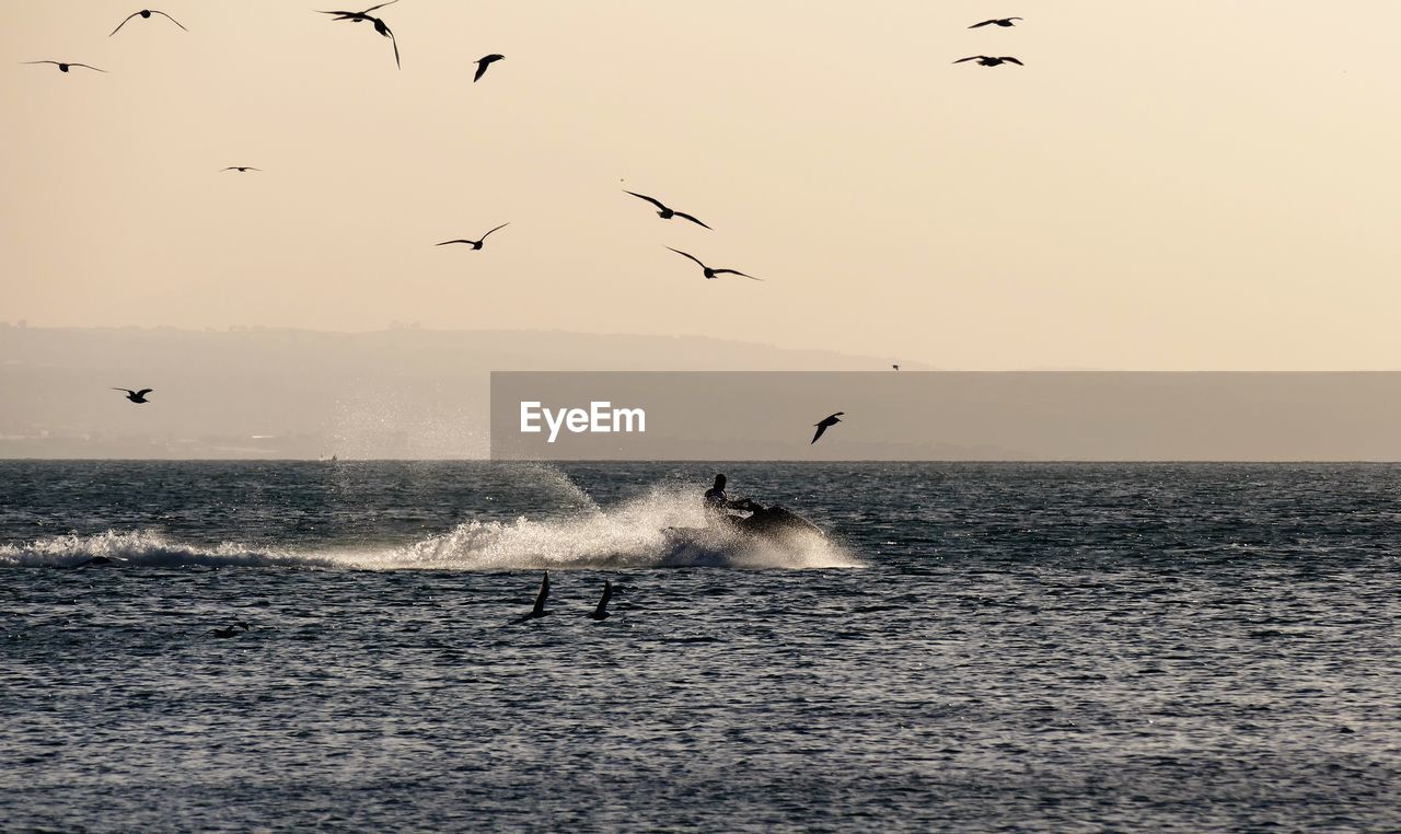 FLOCK OF BIRDS FLYING OVER SEA AGAINST CLEAR SKY