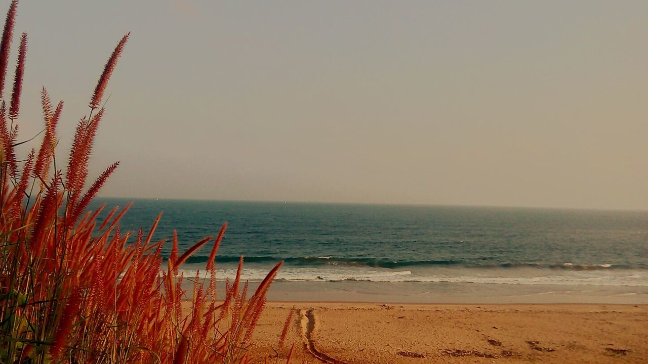 Scenic view of sea against clear sky