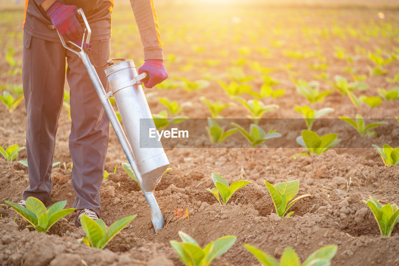 LOW SECTION OF PERSON STANDING ON FARM