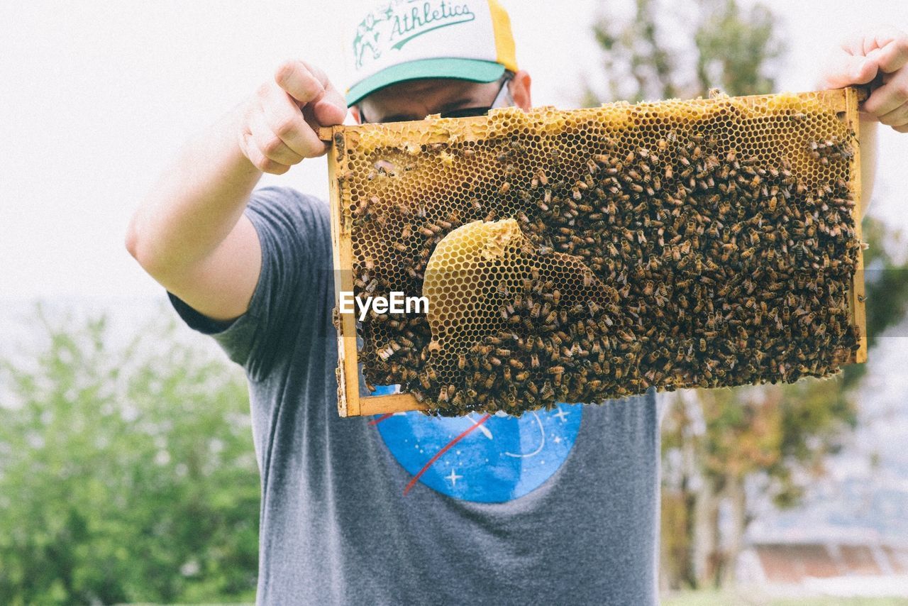 Beekeeper removing tray