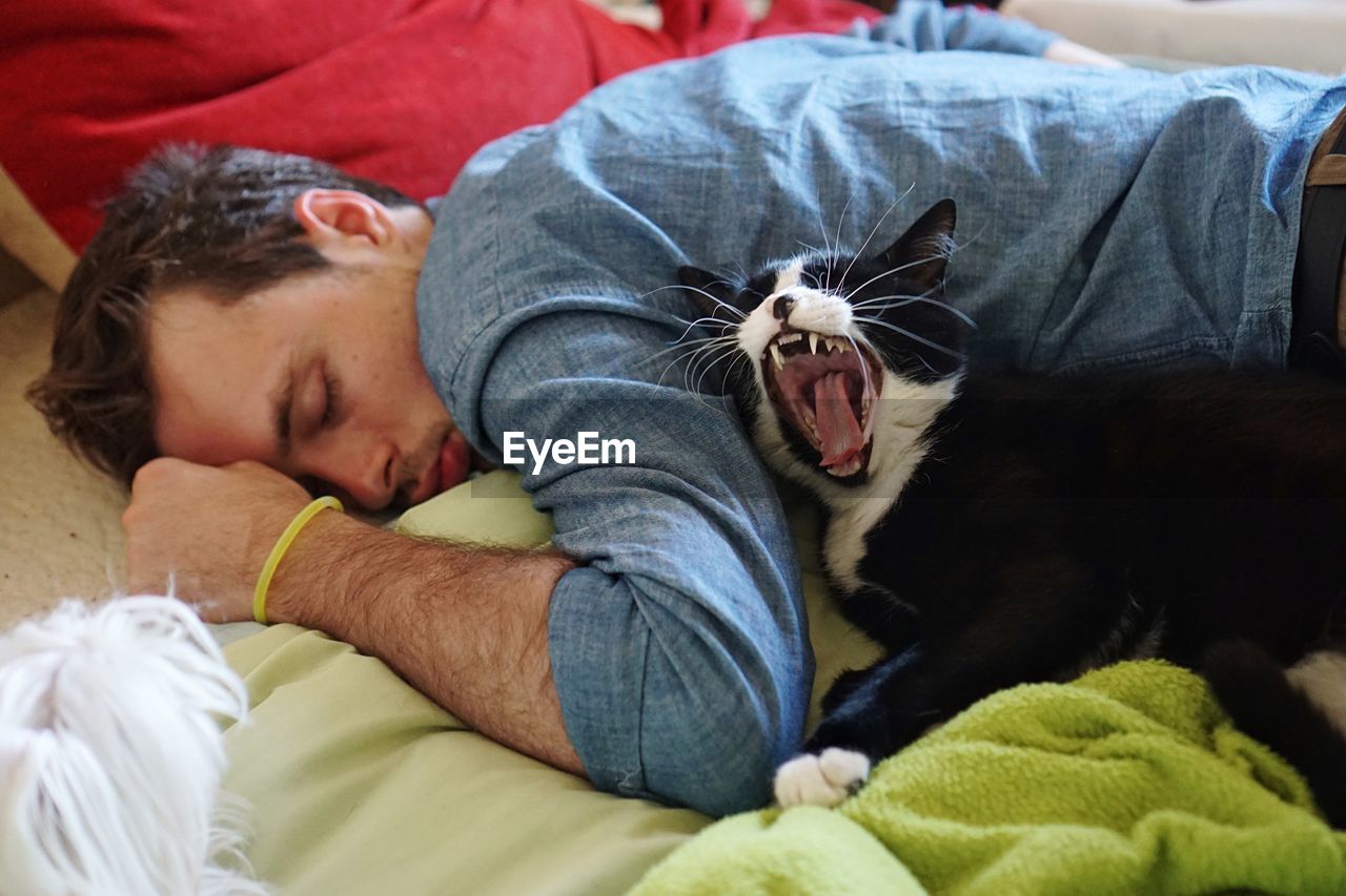 Young man sleeping by cat yawning on bed at home