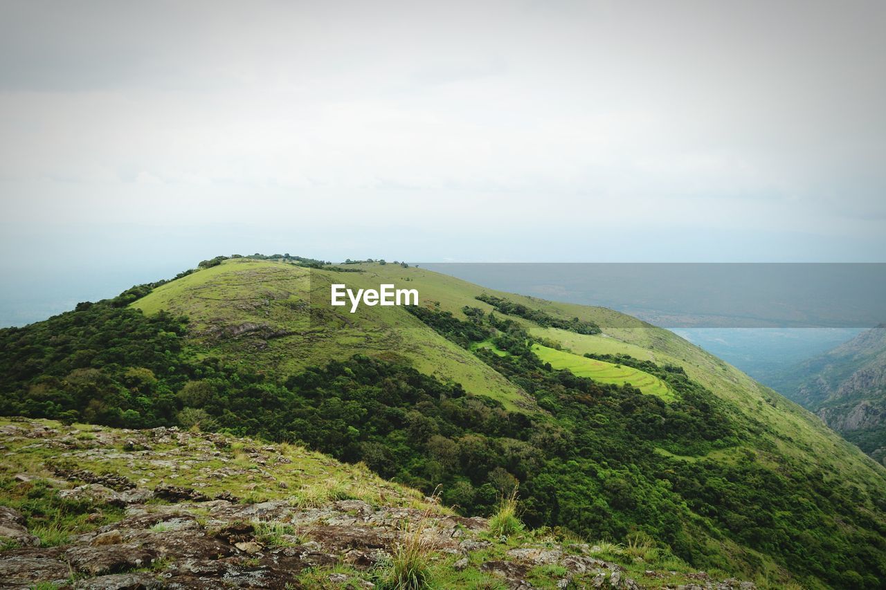 SCENIC VIEW OF GREEN LANDSCAPE AGAINST SKY