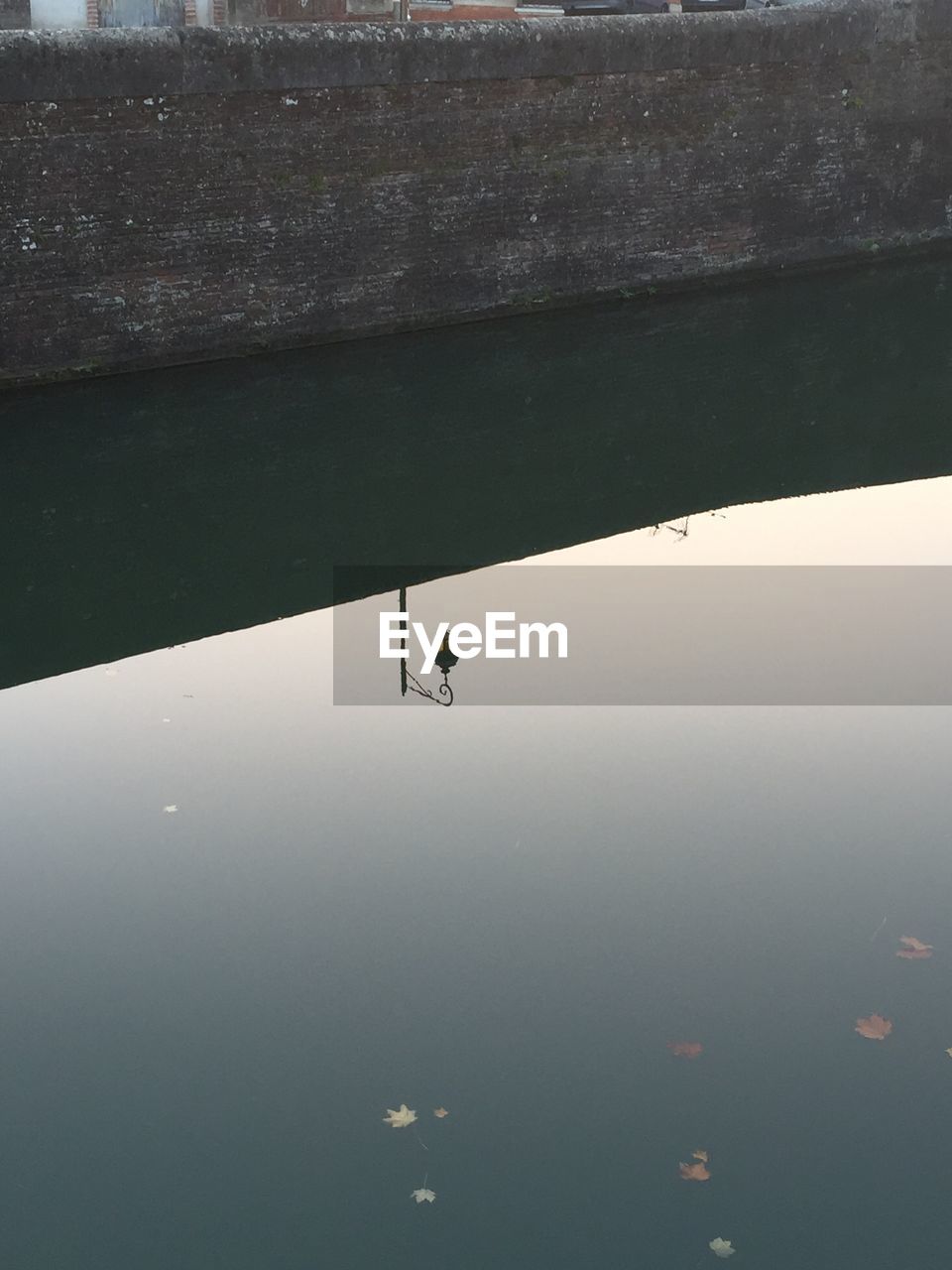 HIGH ANGLE VIEW OF A DUCK IN LAKE