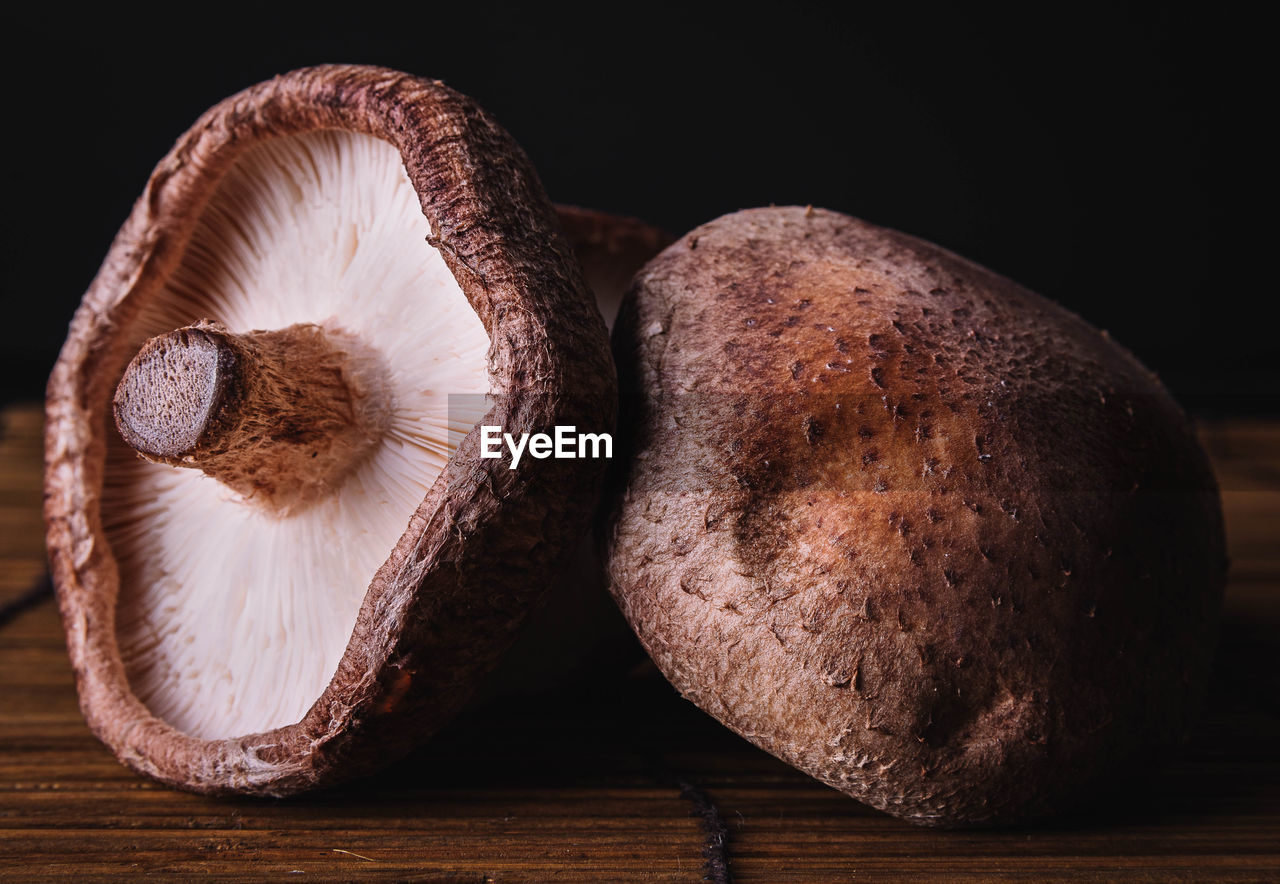 Close-up of mushroom growing on table